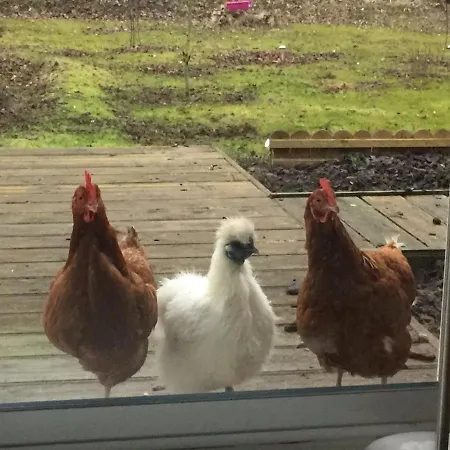 Couette-café La Caronnière 3*