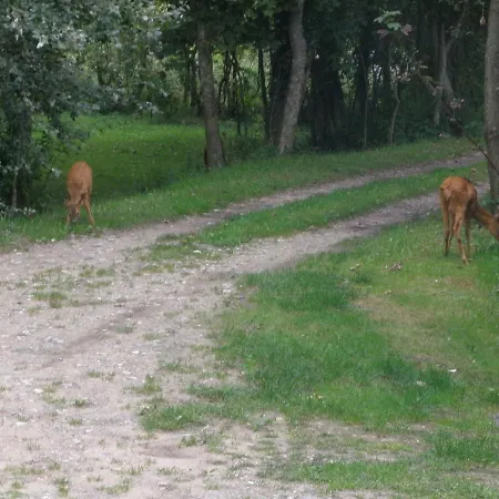 Couette-café La Caronnière