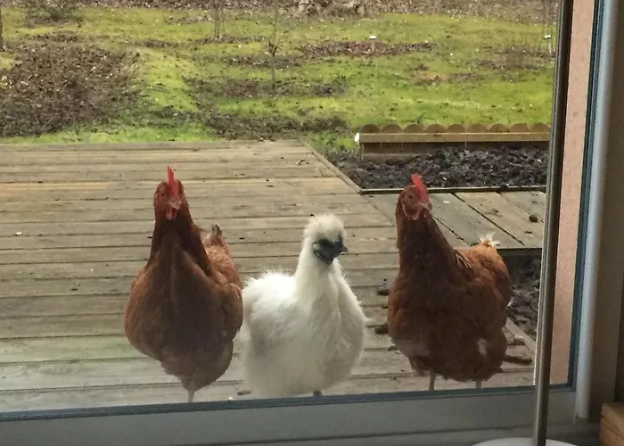 Couette-café La Caronnière 3*