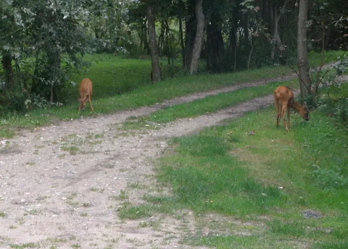 Couette-café La Caronnière